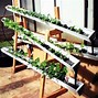 Image result for DIY Indoor Hydroponic System