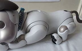 Image result for Aibo Ers 1000