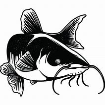 Image result for Catfish Fishing Clip Art