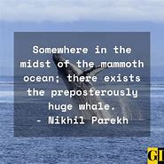 Image result for Hermanus Whals Quote