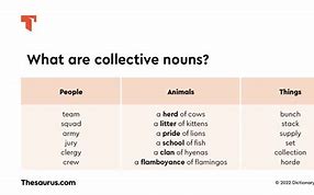 Image result for 5 Examples of Collective Nouns