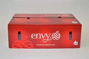Image result for Envy Apple's Box