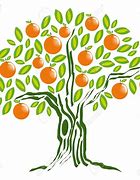 Image result for Orange Fruit Tree Clip Art