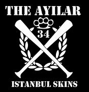 Image result for ayilar