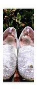 Image result for How to Clean White Canvas Shoes