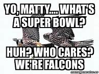 Image result for Falcons Meme Funny