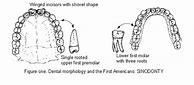 Image result for Native American Feet Shape