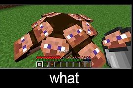 Image result for Minecraft Wait What Meme