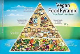 Image result for Vegan Food Pyramid