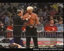 Image result for WWE Ric Flair Beg