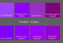 Image result for Different Types of Color Schemes