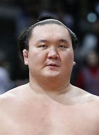 Image result for Yokozuna Sumo