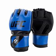 Image result for MMA Fighting Gloves