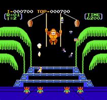 Image result for Donkey Kong 3 SNES