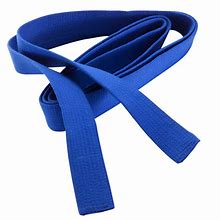 Image result for Martial Arts Belts