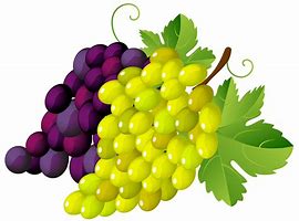 Image result for Grapes Cartoon Transparent