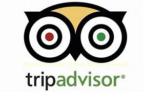 Image result for TripAdvisor Logo Vector