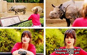 Image result for New Girl Funny