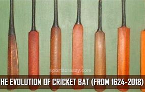 Image result for Professional Cricket Bat