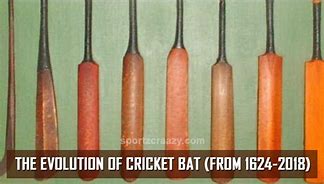 Image result for Cricket Bat Evolution