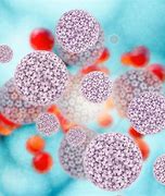 Image result for Picture Human Papillomavirus HPV