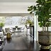 Image result for Large Indoor Tree Pots