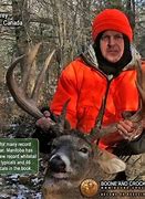 Image result for Non-typical Whitetail Deer