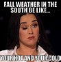 Image result for Funny Fall Memes