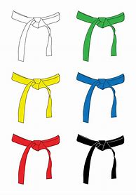 Image result for Martial Arts Belt Symbol
