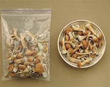 Image result for 5 Grams of Shrooms