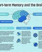 Image result for Short-Term Memory Signs