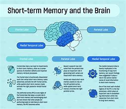 Image result for Fast Facts About Memory