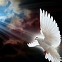 Image result for Holy Spirit and Fire