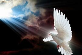 Image result for Holy Spirit Nimation Background