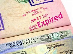 Image result for How to Renew My Expired Visa