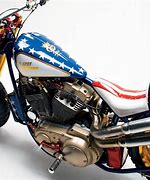 Image result for Harley Stunt Sportster