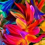 Image result for Apple iPhone 6 Wallpapers Pack