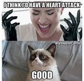Image result for Cat Attack Meme