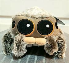 Image result for Peacock Spider Plushie