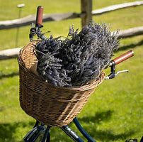 Image result for Dried Lavender Bunches