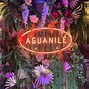 Image result for aguananil