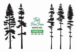 Image result for Pine Tree Trunck Vector