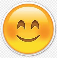 Image result for Smiley Face Real