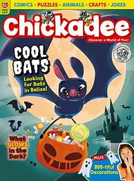 Image result for Chickadee Magazine Old