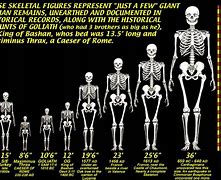 Image result for Giant History Facts