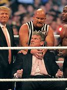 Image result for Professional WWE Wrestling