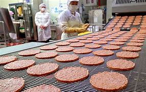 Image result for Food Factories