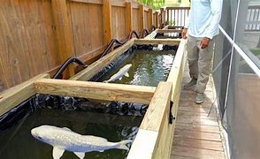 Image result for Screens Protector for Fish Ponds DIY
