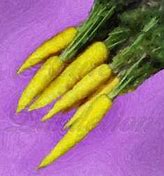 Image result for Amarillo Carrot