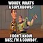 Image result for Dallas Cowboys Excuse Meme